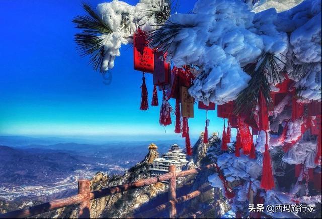 移动的滚轮